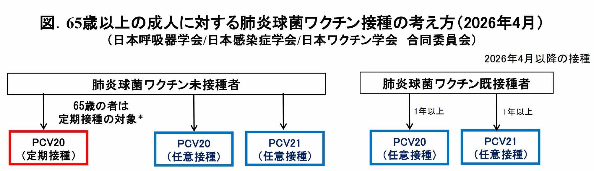 65歳以上の成人に対する肺炎球菌ワクチン接種の考え方